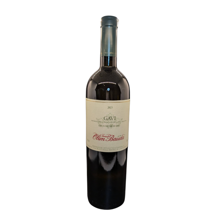TENUTA OLIM BAUDA GAVI DI GAVI